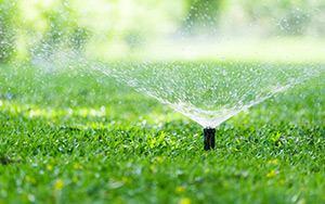 A watering system is the easiest and most efficient way to keep your garden green.